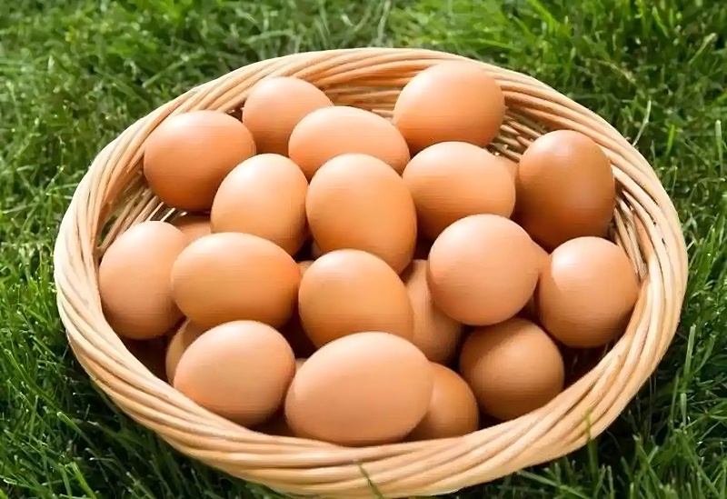 雞蛋