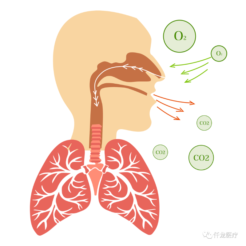氧氣與身體的不解之緣